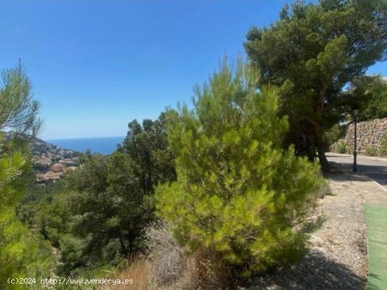 Vistas al mar, terreno en ALTEA para 1 chalet grande , en venta OPORTUNIDAD! - ALICANTE