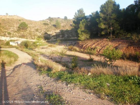 Parcela para construcción de Vivienda en  Ctra. La Parroquia. - MURCIA