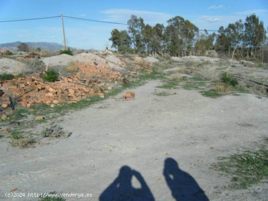 SOLAR, TERRENO EN CTRA. GRANADA - MURCIA