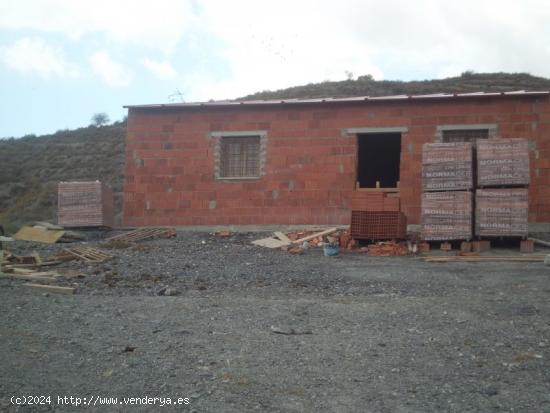 Finca rústica con Vivienda en Construcción. - MURCIA