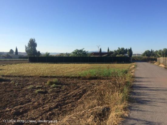  Terreno rural en Molina de Segura zona Ribera de molina. - MURCIA 