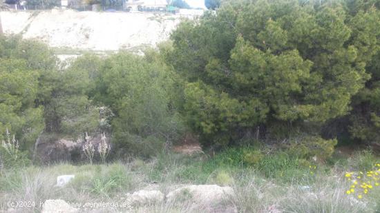 PARCELA EN LAS TORRES DE COTILLAS - MURCIA