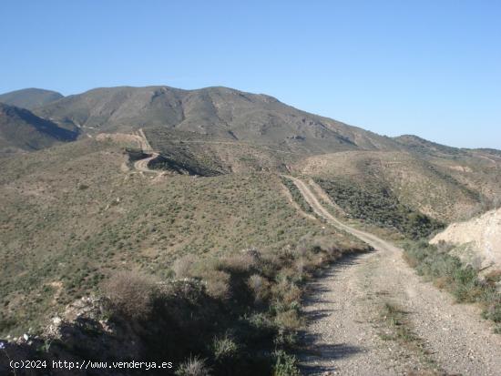 FINCA GOÑAR-HUERCAL OVERA 52 hectáreas y metida en un coto de 1.000 hectáreas - ALMERIA