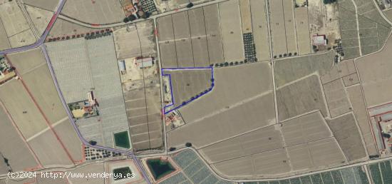 SE VENDE PARCELA EN LA DIPUTACIÓN DE LA HOYA - LORCA - MURCIA