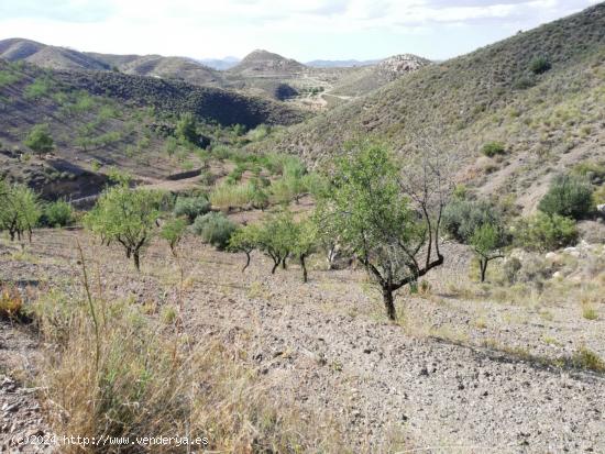 Finca Rústica  ,Cart Del Consejero - MURCIA