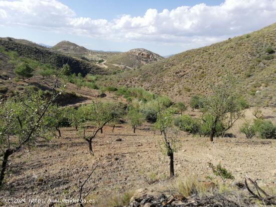 Finca Rústica  ,Cart Del Consejero - MURCIA