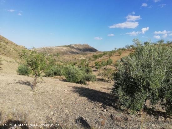 Finca Rústica  ,Cart Del Consejero - MURCIA