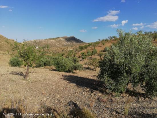 Finca Rústica  ,Cart Del Consejero - MURCIA