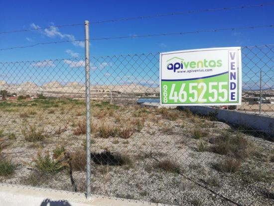 TERRENO FRENTE A LA AUTOVIA A92 - MURCIA