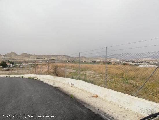 TERRENO FRENTE A LA AUTOVIA A92 - MURCIA