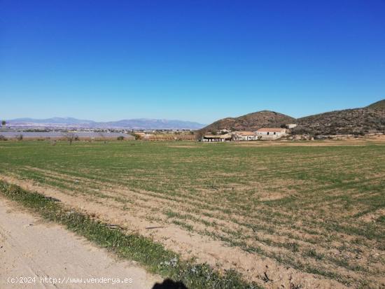  Finca rústica con Vivienda y Almacen. - MURCIA 