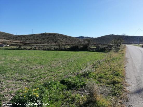 Finca rústica con Vivienda y Almacen. - MURCIA