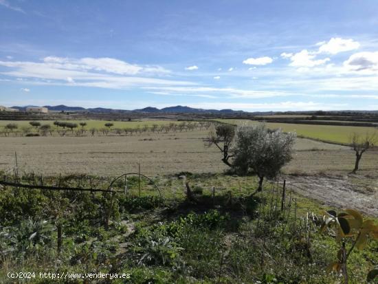 CORTIJO EN MORATALLA (CASA CON TERRENO) - MURCIA