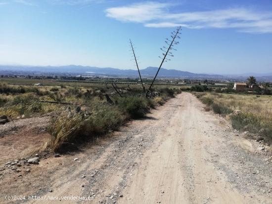  Terreno camino La Torre, junto autovía Lorca - MURCIA 