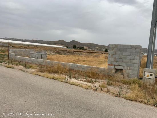 Terreno próximo al Colegio Privado. - MURCIA