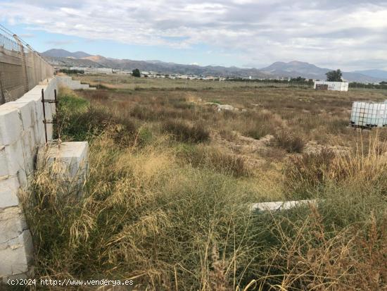 Terreno próximo al Colegio Privado. - MURCIA