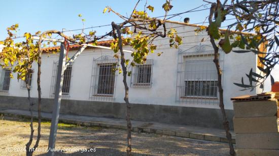 Casa de Campo, Zona  Esparragal. - MURCIA