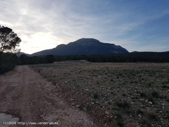 Terreno rustico, Pantano Valdeinfierno - MURCIA