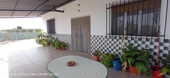 2 Casas con terreno y 2 naves - MURCIA