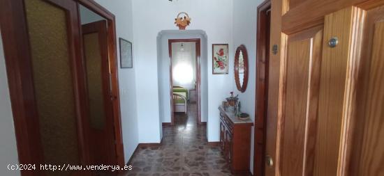 2 Casas con terreno y 2 naves - MURCIA