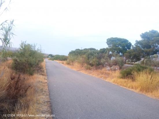 Terreno a 200 metros de  la area de servicios EL LIMITE - ALMERIA