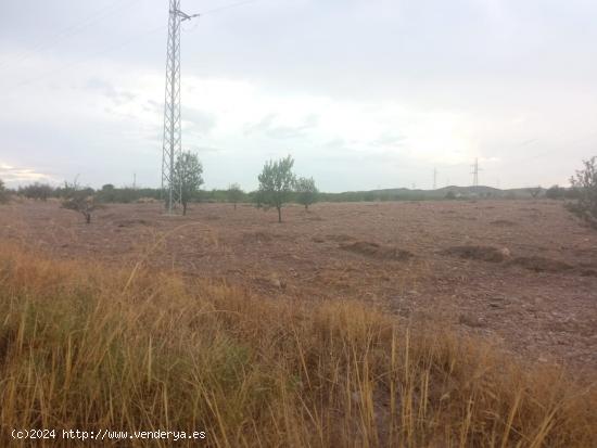 Terreno a 200 metros de  la area de servicios EL LIMITE - ALMERIA