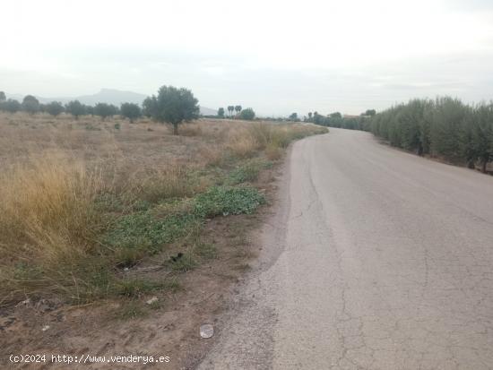 Parcela en Marchena - MURCIA