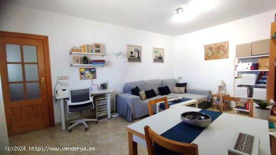 Casita-apartamento de 1 dormitorio en zona rural, Lorca. - MURCIA