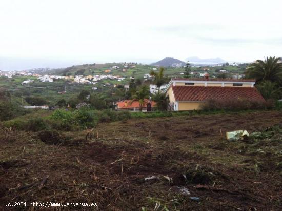 Se vende parcela de 600,00 m2 en Firgas - LAS PALMAS