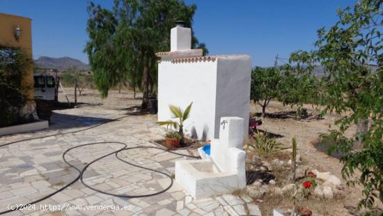  CAMPO EN MONOVAR - ALICANTE 