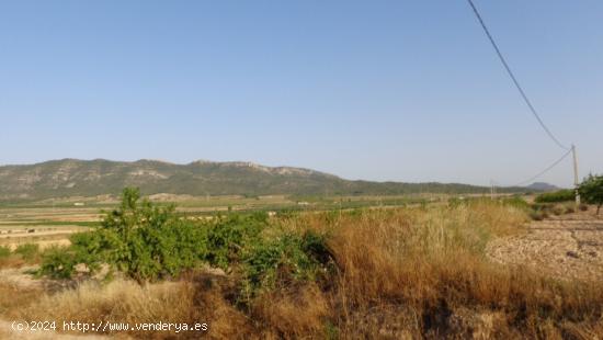  TERRENOS PARA CONSTRUIR EN SALINAS - ALICANTE 