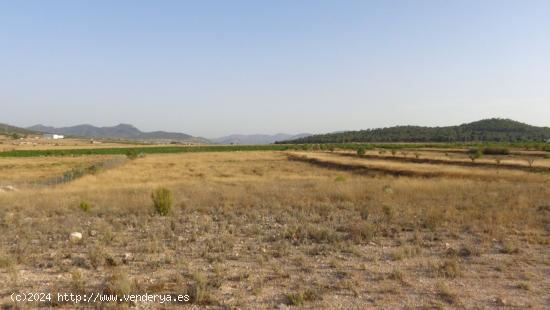 TERRENOS PARA CONSTRUIR EN SALINAS - ALICANTE