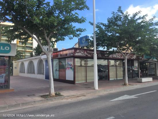 Local comercial muy rentable - VALENCIA