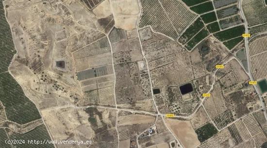 Parcelas en venta en la zona de la Murada(Orihuela). Terreno de unos 108.000 m2. - ALICANTE