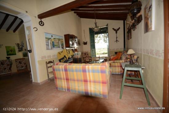 Casa con terreno rústico en la pedanía de La Murada (Orihuela). - ALICANTE