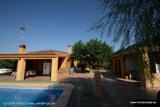  Chalet con parcela en Orihuela zona La Murada. Vivienda de 82 m2. con parcela de 12.700 m2. - ALICAN 