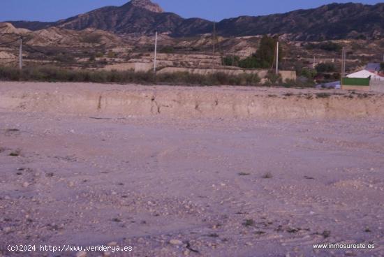 Finca rústica con casa cueva en Abanilla, zona de El Partidor. - MURCIA