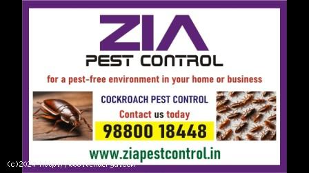 Specialist in Pest Control services | Cockroach service Upto 50% Off |  2090