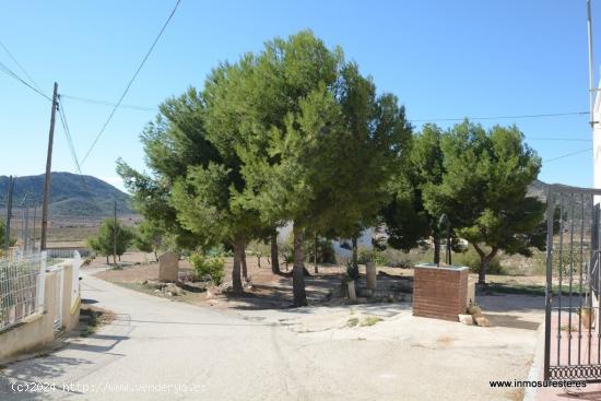  Casa Cueva en Hondón de las Nieves en la zona de La Canalosa.  200 m2. construidos. - ALICANTE 