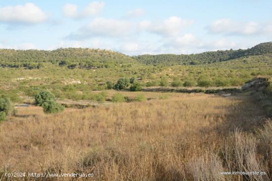 Finca de secano en la pedanía de Torremendo, Orihuela. 17.000 m2. de superficie. - ALICANTE