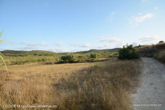 Finca de secano en la pedanía de Torremendo, Orihuela. 17.000 m2. de superficie. - ALICANTE