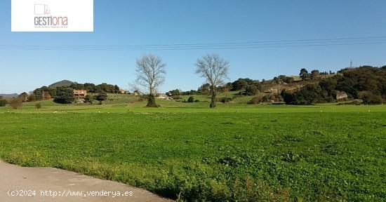 PARCELA CON ENCANTO, EN BARCENA DE CICERO - CANTABRIA