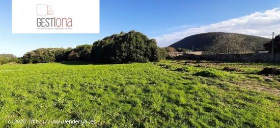 PARCELA DE TERRENO URBANA EN ISLA. ARNUERO - CANTABRIA