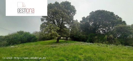  TERRENO URBANO EN ARNUERO. - CANTABRIA 