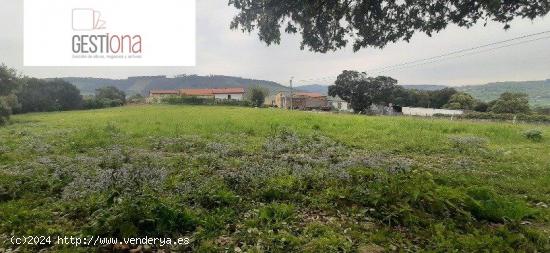 TERRENO URBANO EN ARNUERO. - CANTABRIA