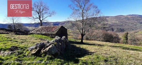 CABAÑA EN SAN PEDRO DEL ROMERAL. - CANTABRIA