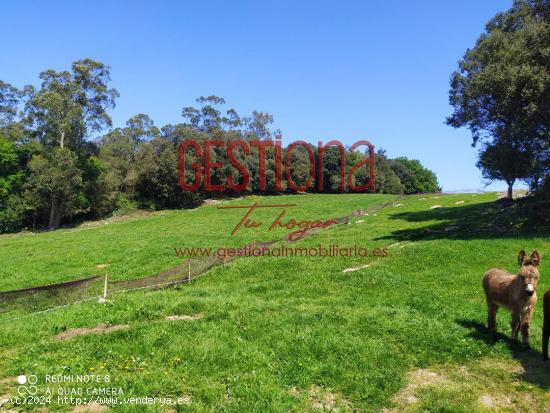  TERRENO RÚSTICO 17.933M2 EN CASTILLO SIETE VILLAS - CANTABRIA 