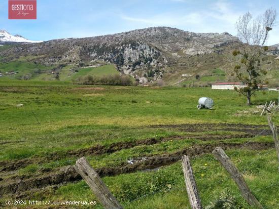 OPORTUNIDAD!! EN EL CORAZÓN DEL VALLE DE. SOBA - CANTABRIA