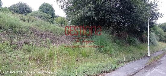 TERRENO URBANO EN SAN MAMES DE MERUELO. - CANTABRIA