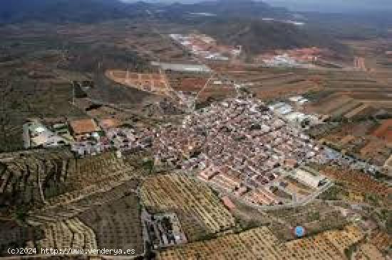  Terreno rural VENTA en Cabanes, 25000 m. superficie parcela (35 hanegadas). - CASTELLON 